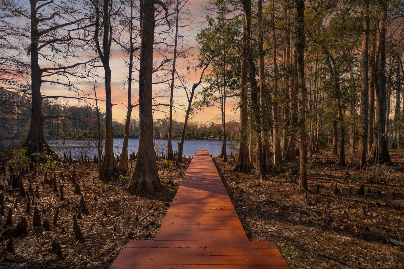 Image 63 of 65 For 8940 Wicker Lane