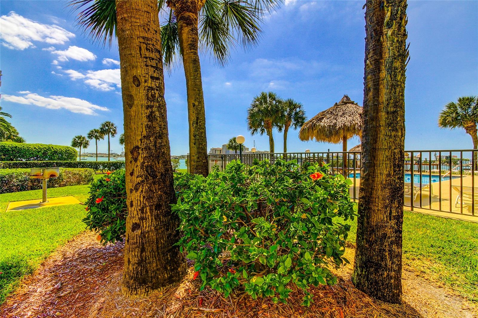 Image 39 of 44 For 650 Island Way 206