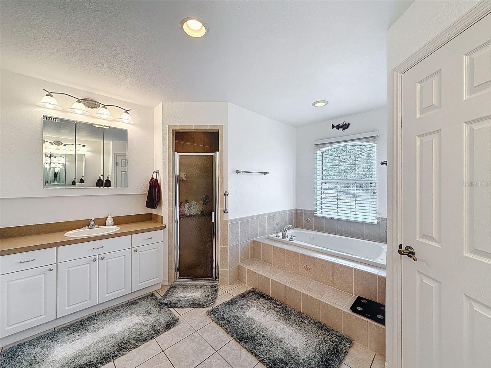 Image 31 of 52 For 9131 Alpinia Drive