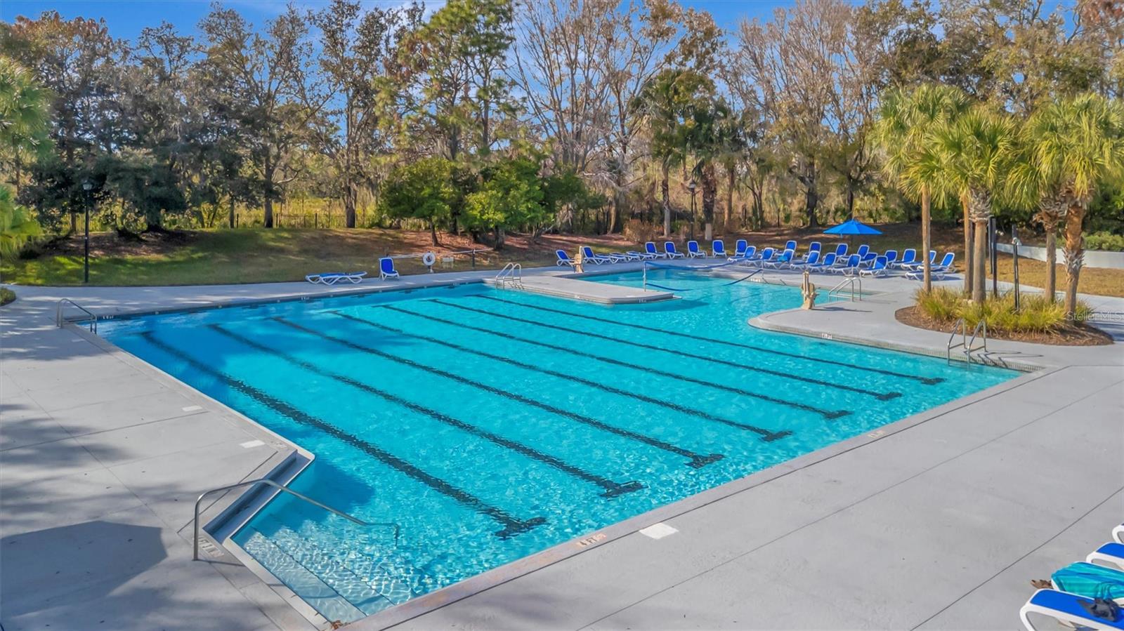 Image 76 of 99 For 15616 Starling Water Drive