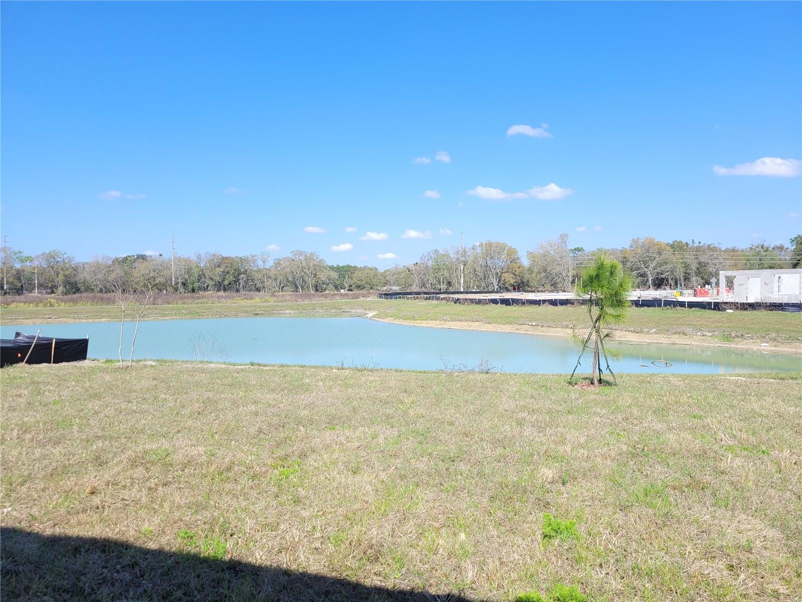 Image 2 of 66 For 30959 Penny Surf Loop