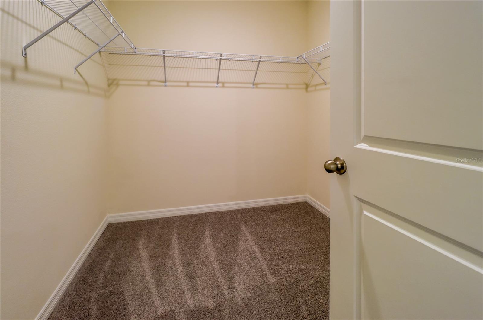 Image 45 of 66 For 30959 Penny Surf Loop