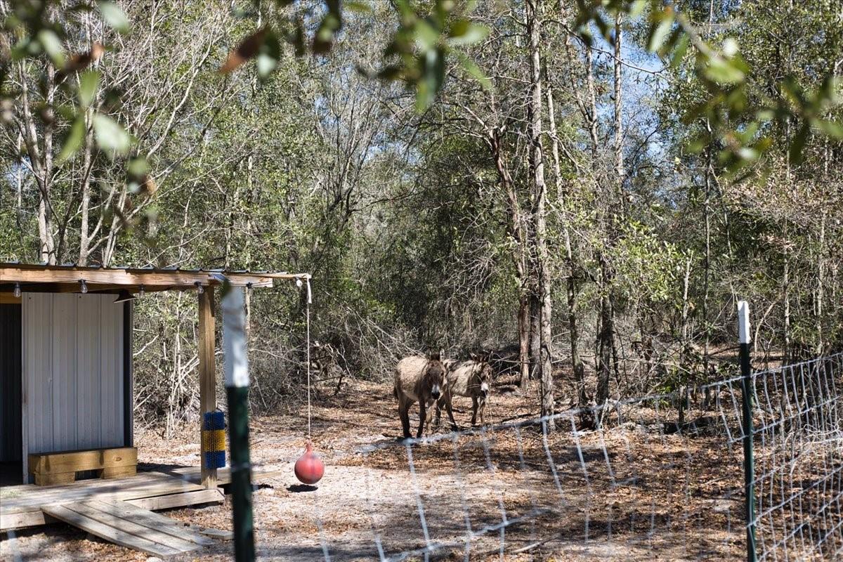 Image 36 of 98 For 771 Choctaw Avenue