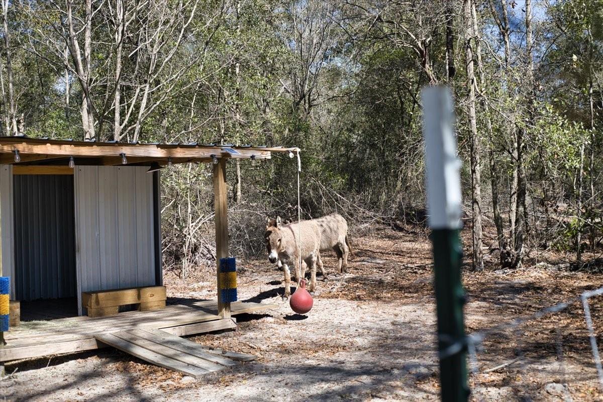 Image 39 of 98 For 771 Choctaw Avenue