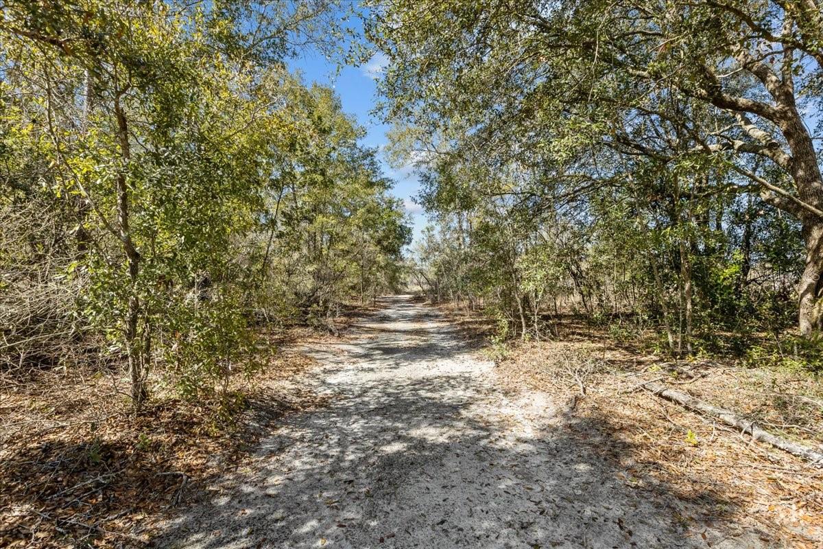 Image 87 of 98 For 771 Choctaw Avenue