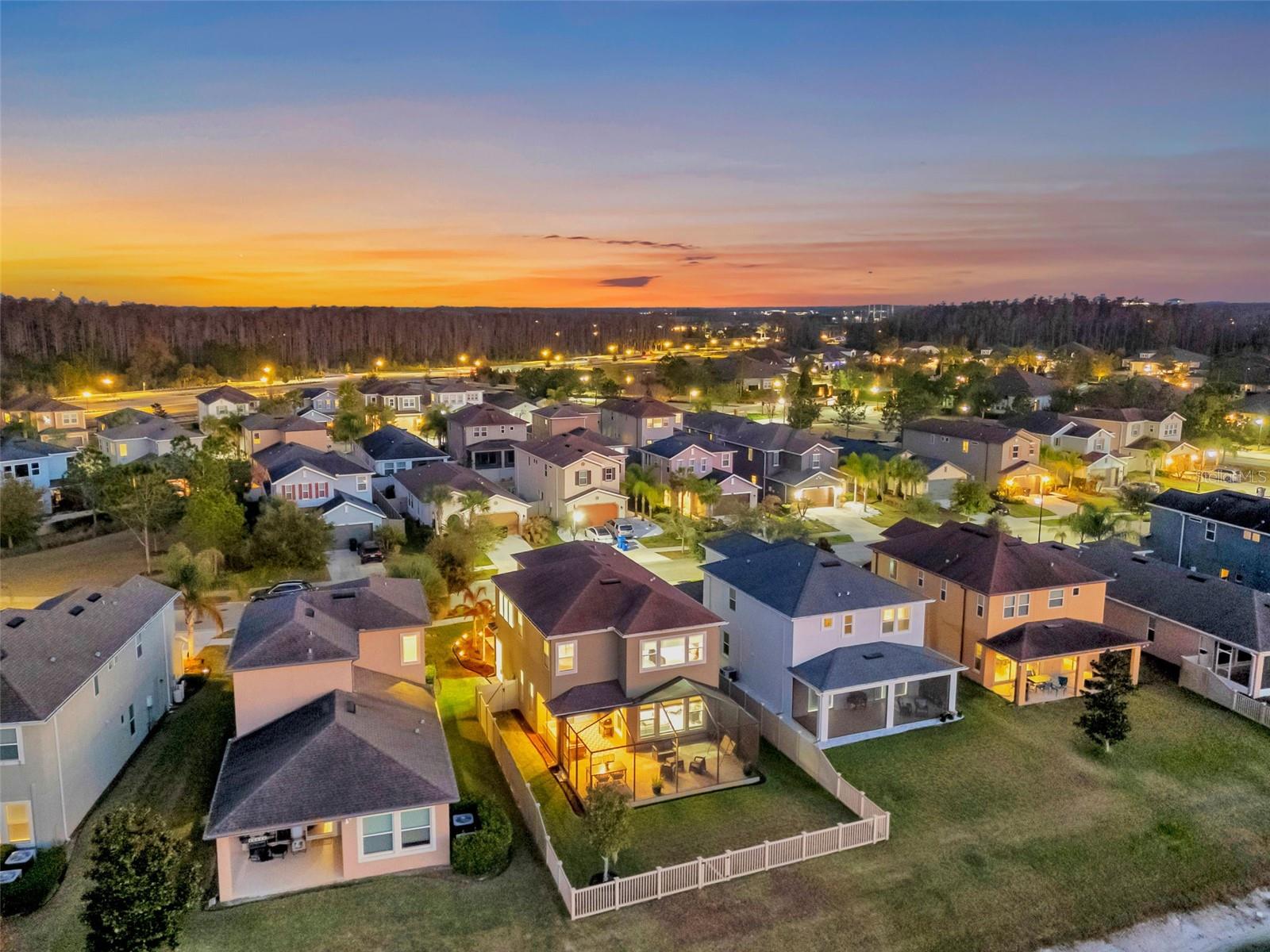 Listing photo id 42 for 29011 Trevi Place