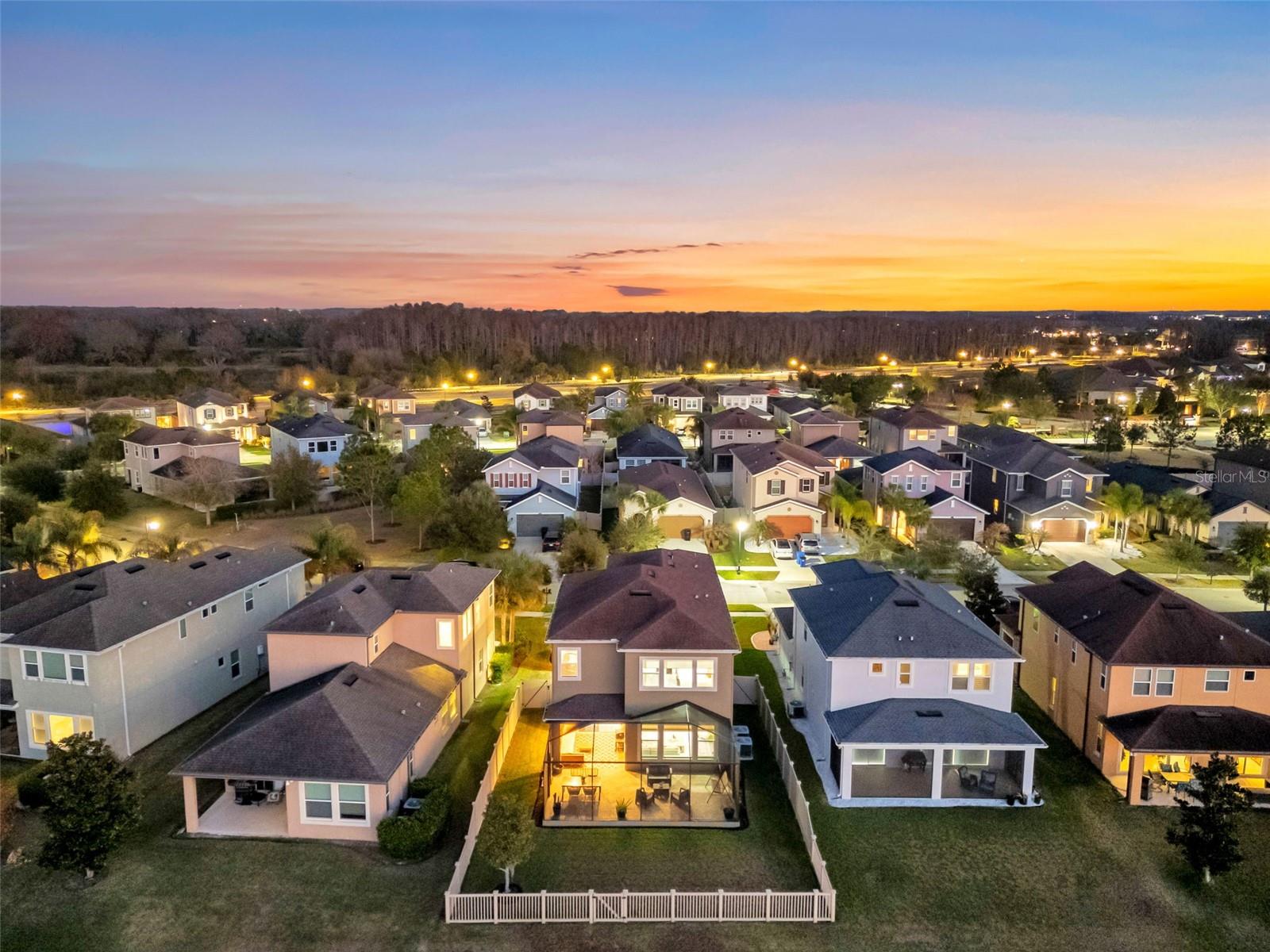 Listing photo id 43 for 29011 Trevi Place