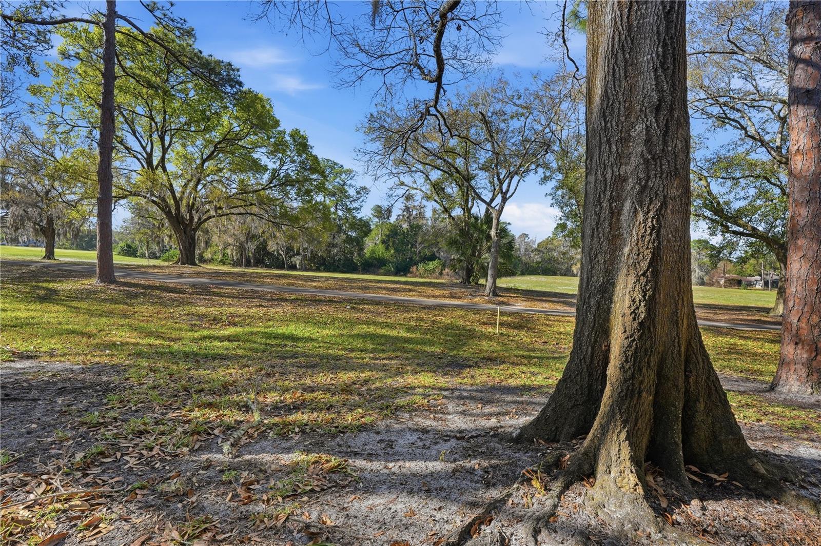 Image 26 of 29 For 3505 Tarpon Woods Boulevard G405