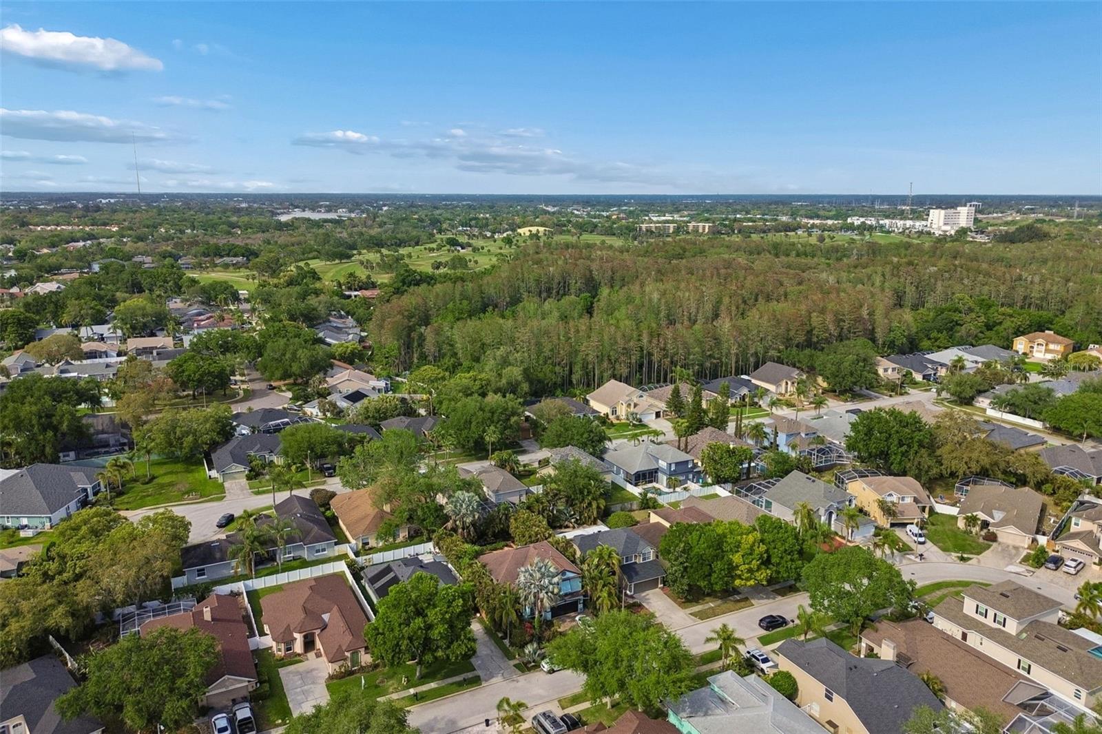 Image 83 of 86 For 461 Briland Street