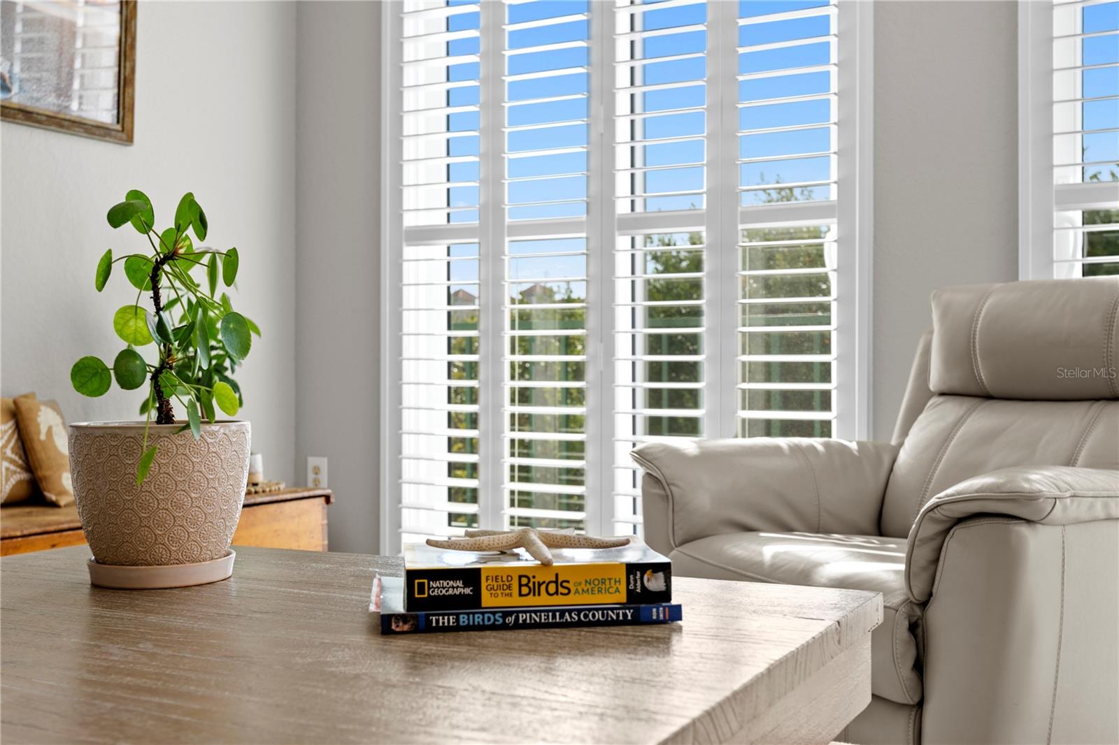 Image 10 of 63 For 4750 Dolphin Cay Lane S 107