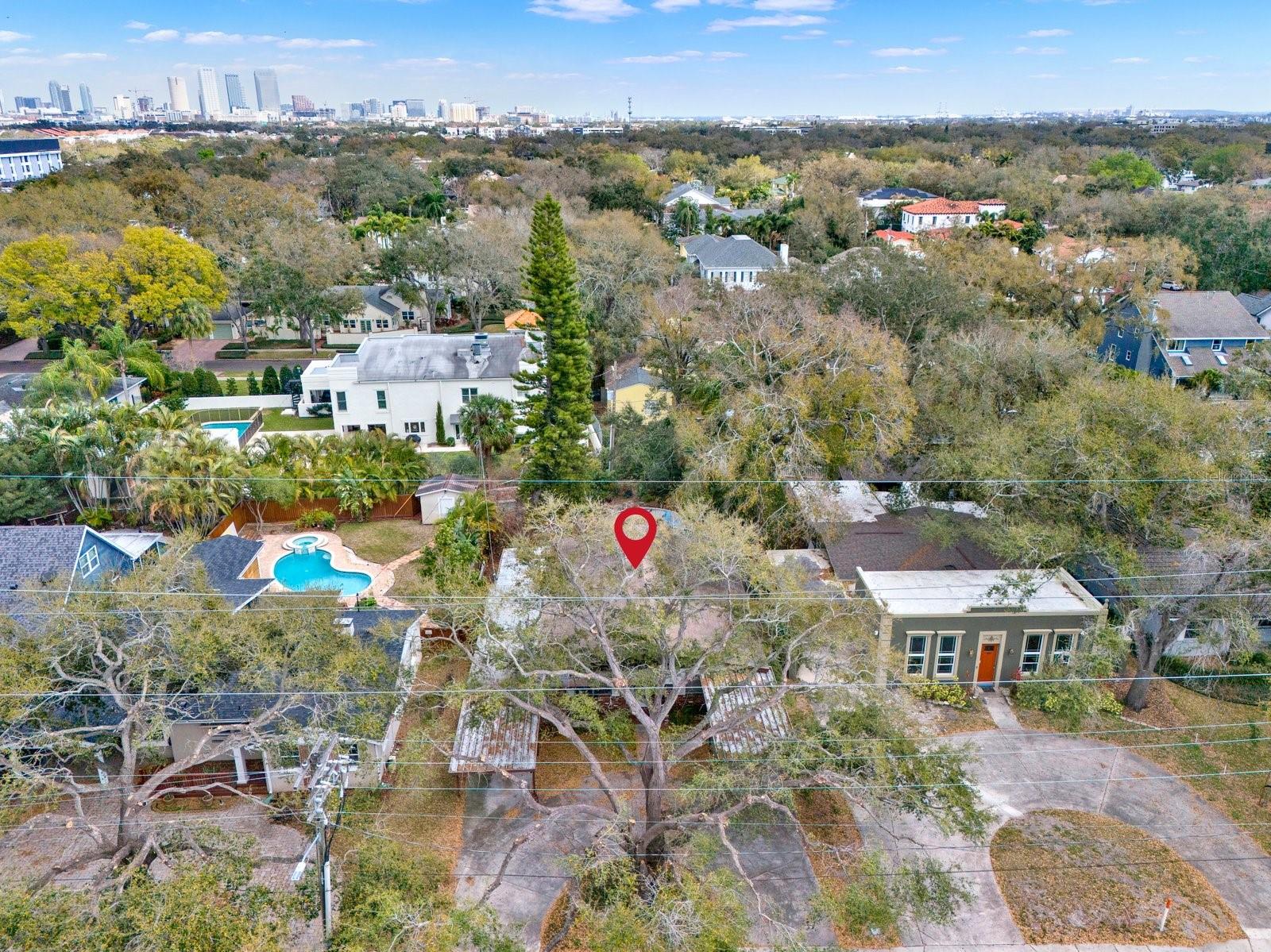 Image 11 of 12 For 812 Macdill Avenue