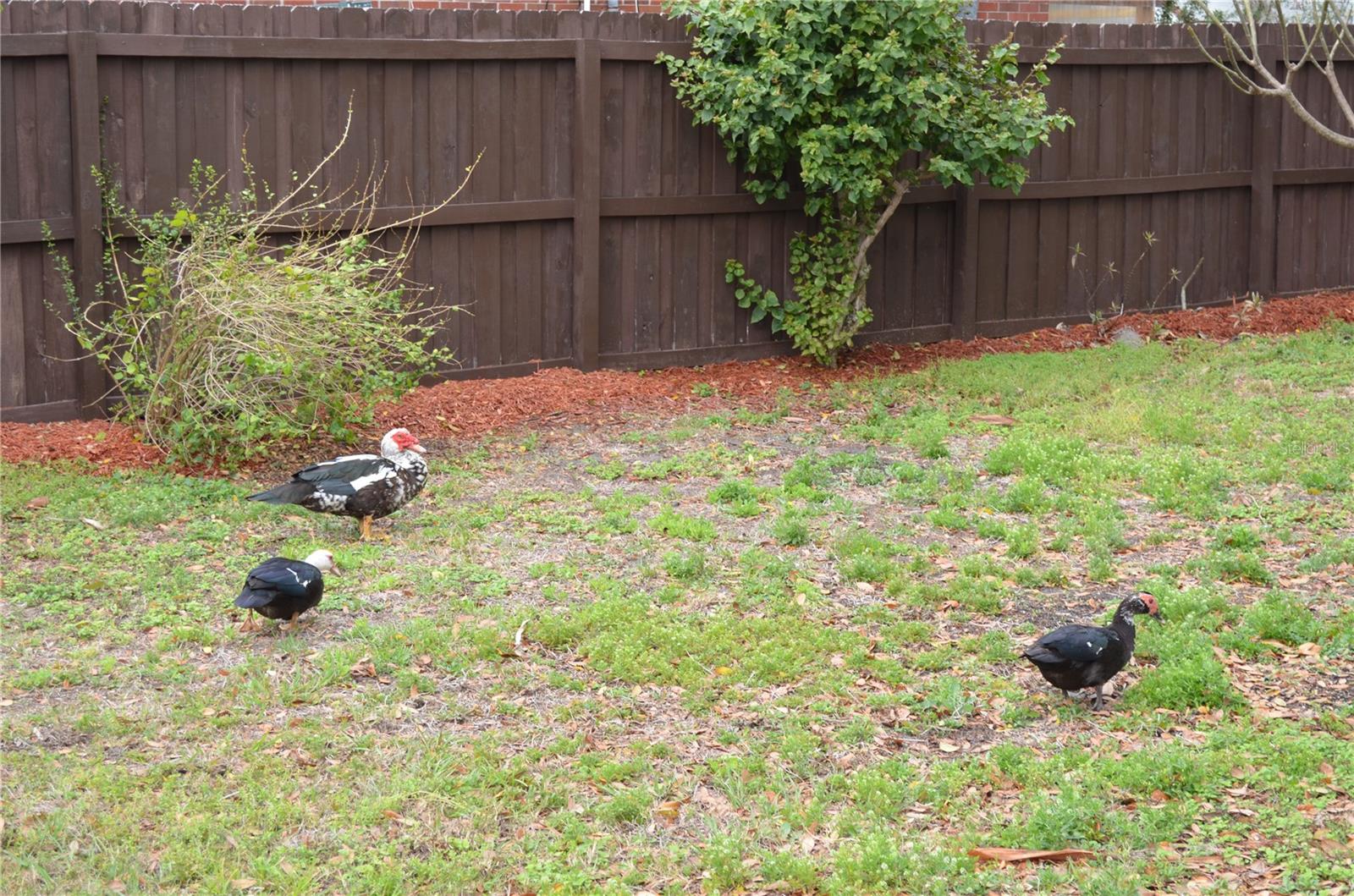 Image 25 of 52 For 5731 Michigan Avenue