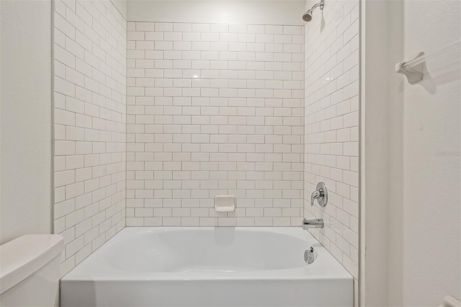 Image 45 of 54 For 4607 Tuscan Loon Drive