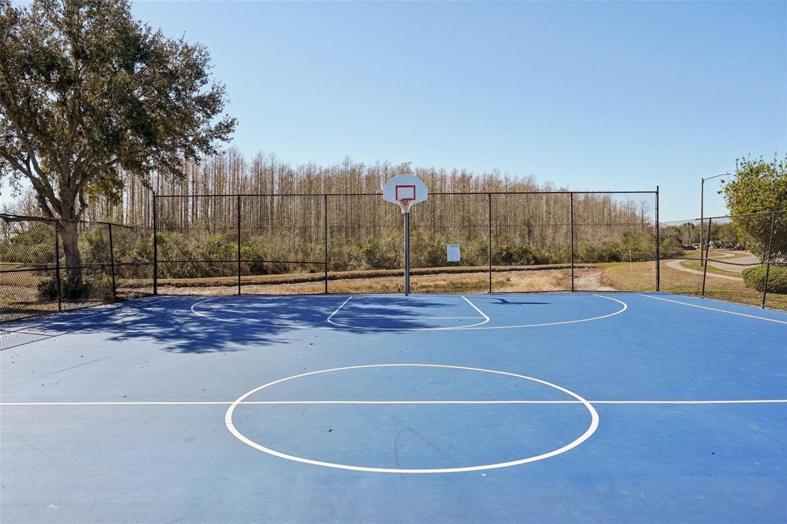 Image 99 of 100 For 3105 Whitley Bay Court