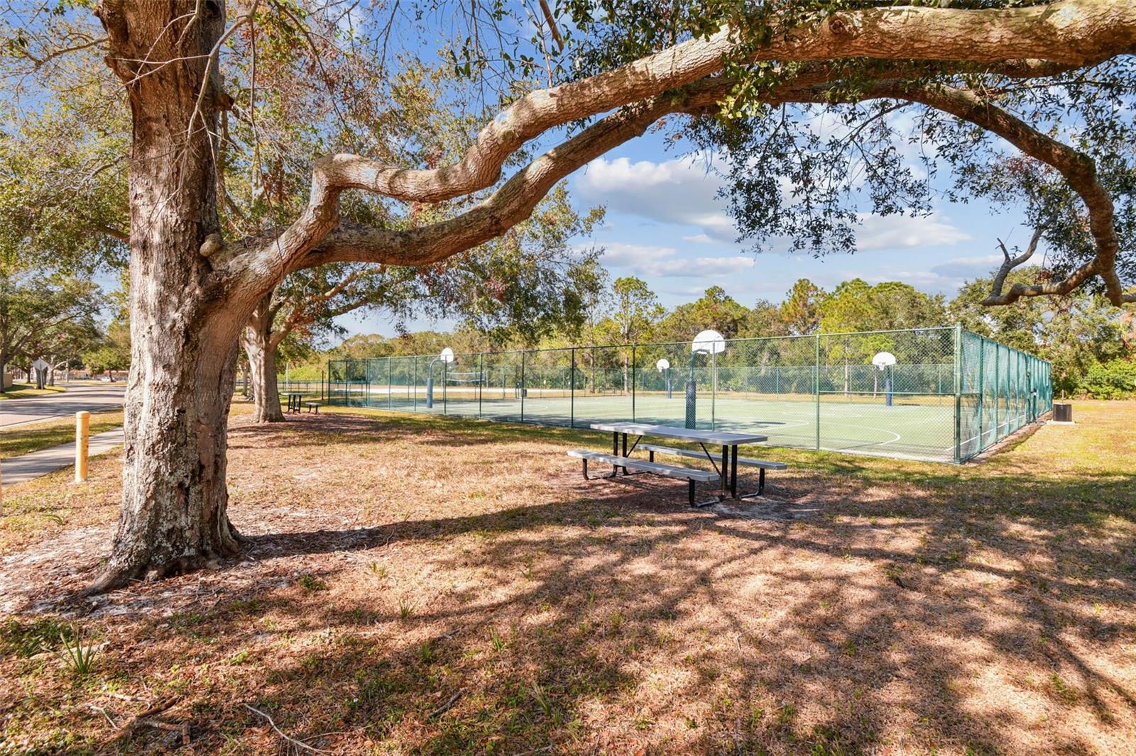 Listing photo id 43 for 8626 Boysenberry Drive