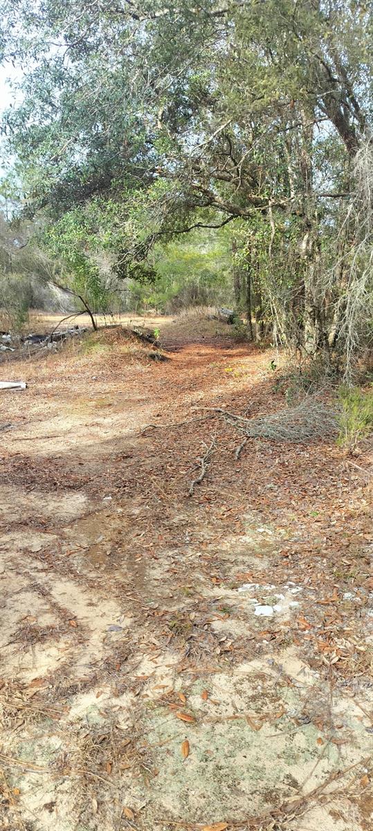 Image 3 of 5 For 326 Elm Trail