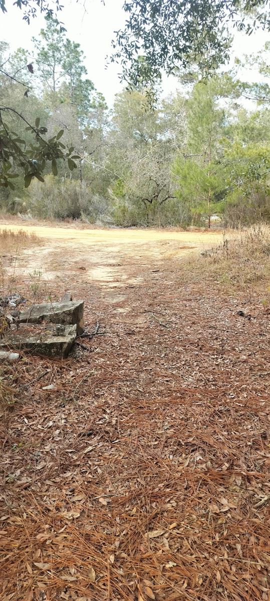 Image 4 of 5 For 326 Elm Trail