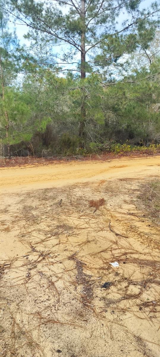 Image 5 of 5 For 326 Elm Trail