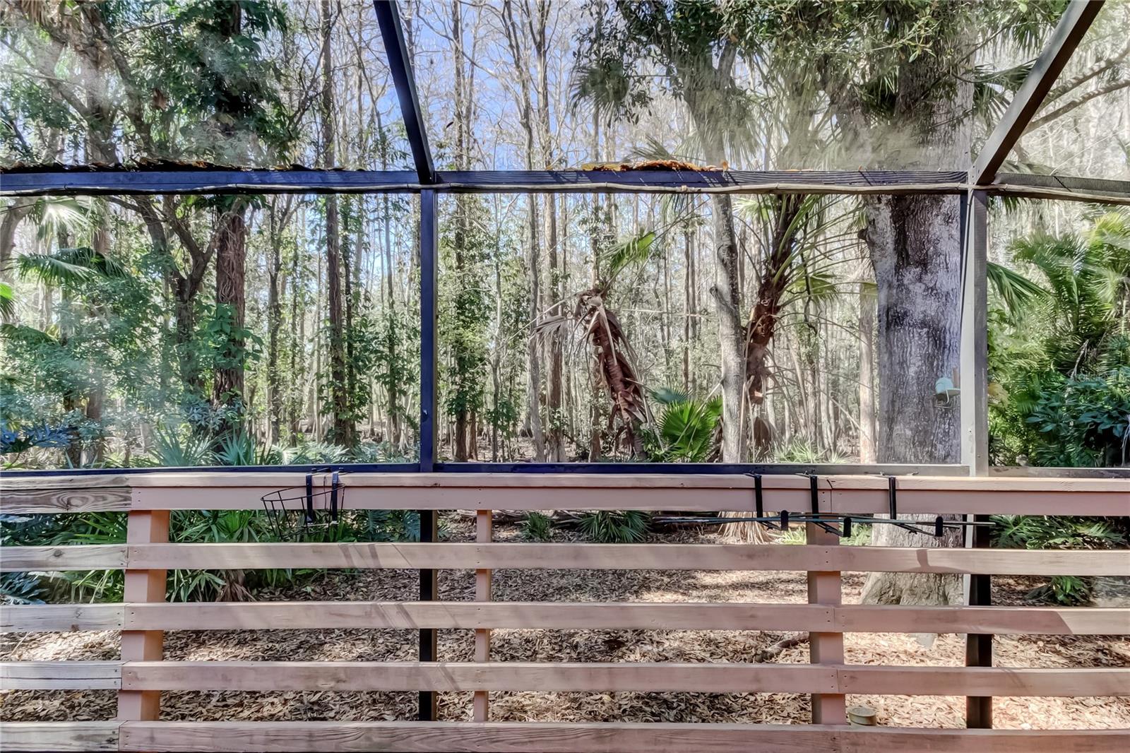 Image 12 of 66 For 3020 Windmoor Drive