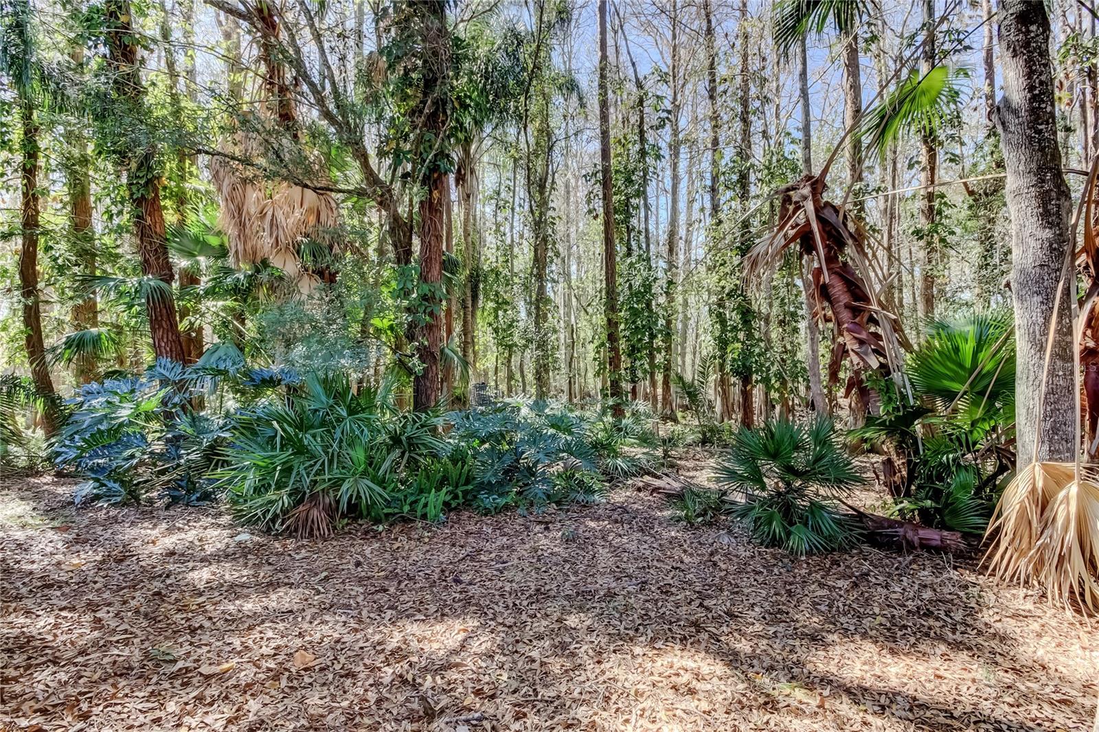 Image 7 of 66 For 3020 Windmoor Drive