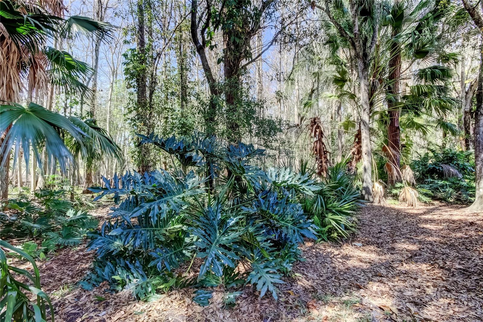 Image 8 of 66 For 3020 Windmoor Drive