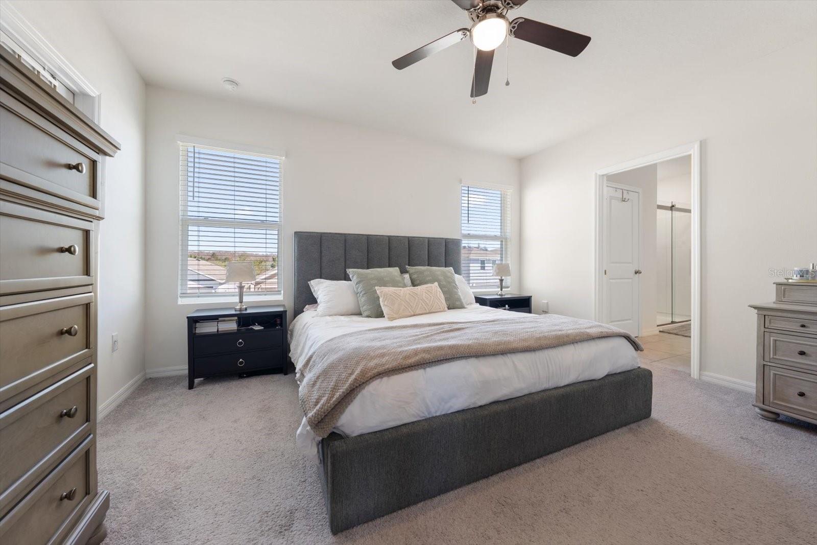 Image 22 of 50 For 16176 Soft Fern Trace