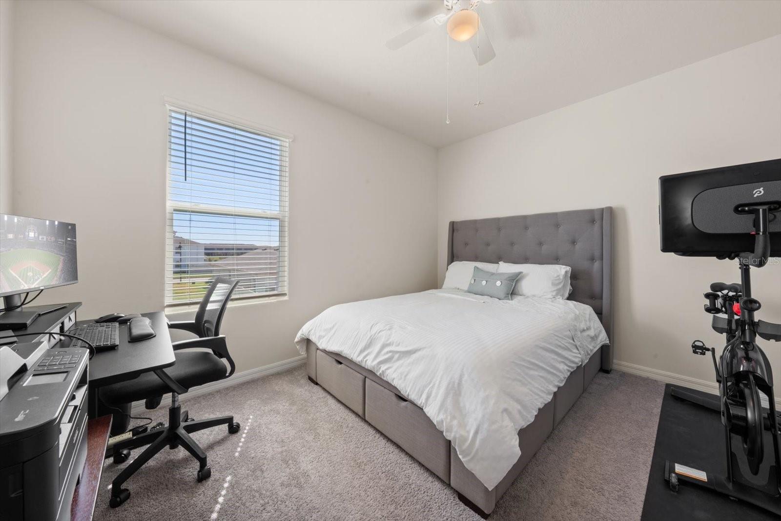 Image 30 of 50 For 16176 Soft Fern Trace