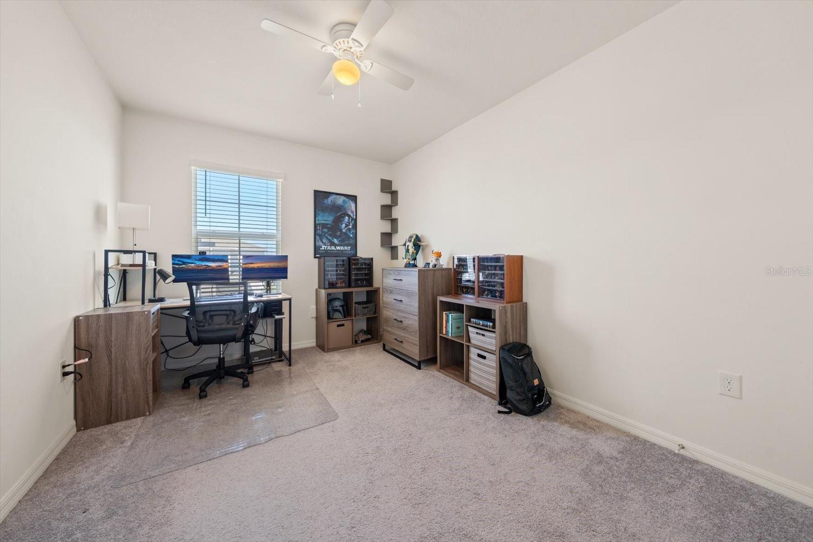 Image 32 of 50 For 16176 Soft Fern Trace