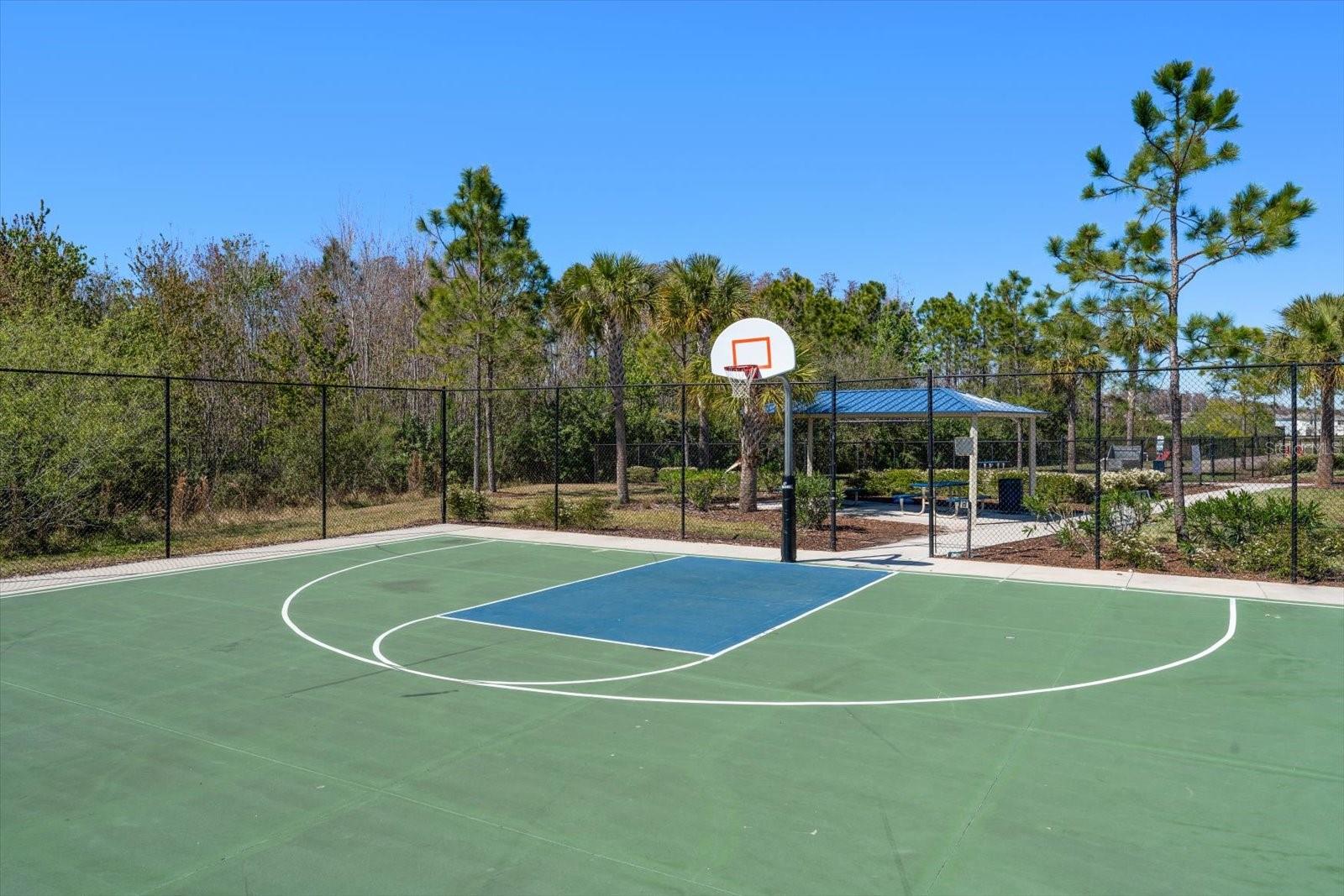 Image 42 of 50 For 16176 Soft Fern Trace