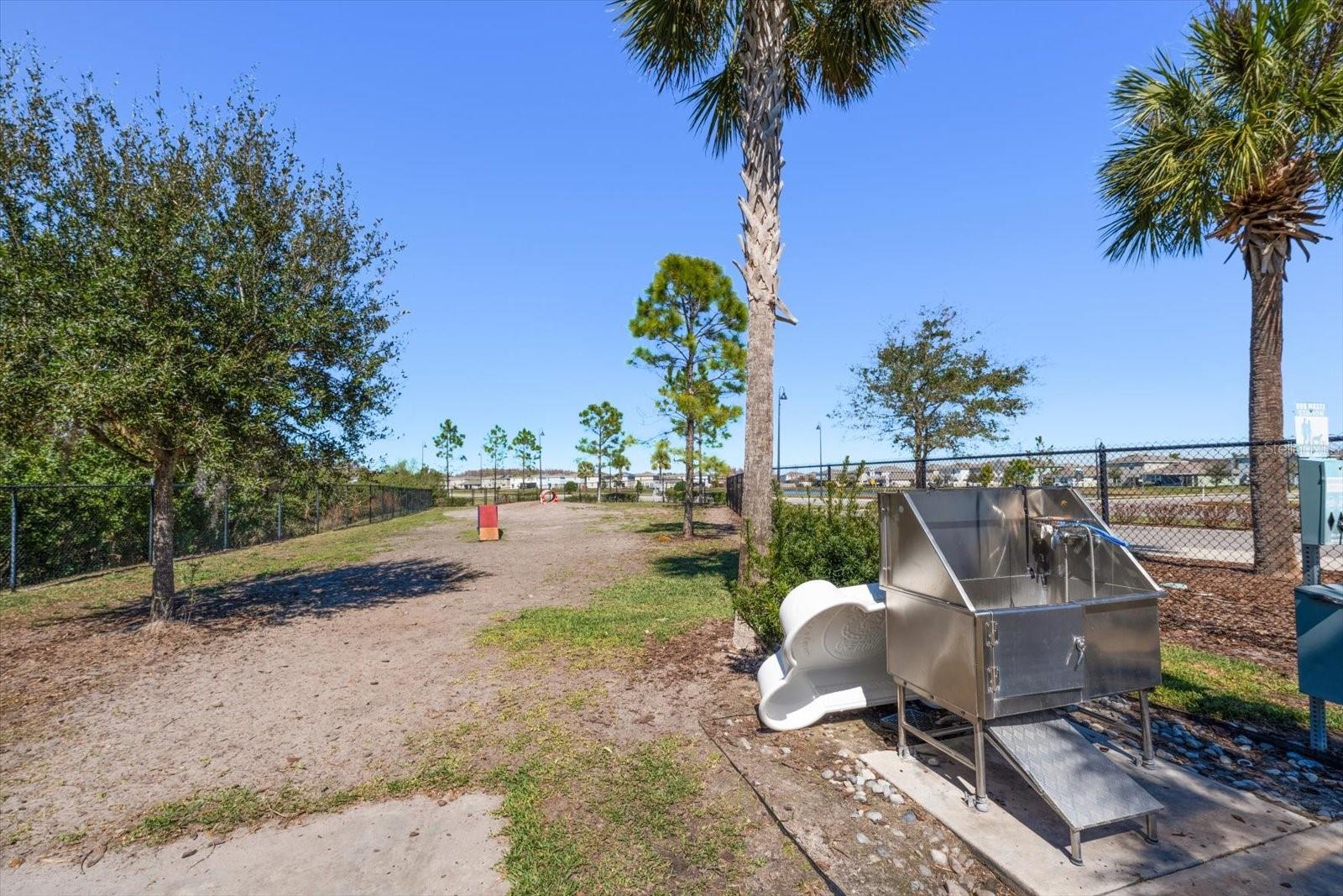 Image 43 of 50 For 16176 Soft Fern Trace