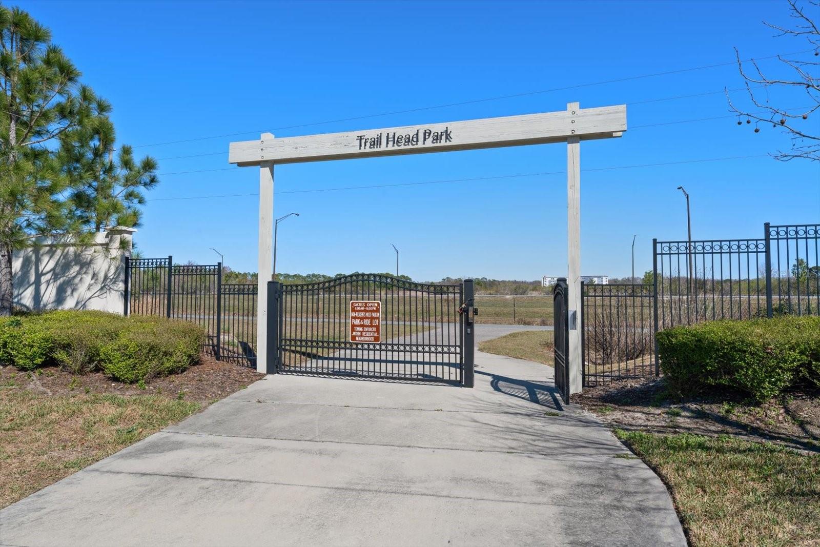 Image 50 of 50 For 16176 Soft Fern Trace