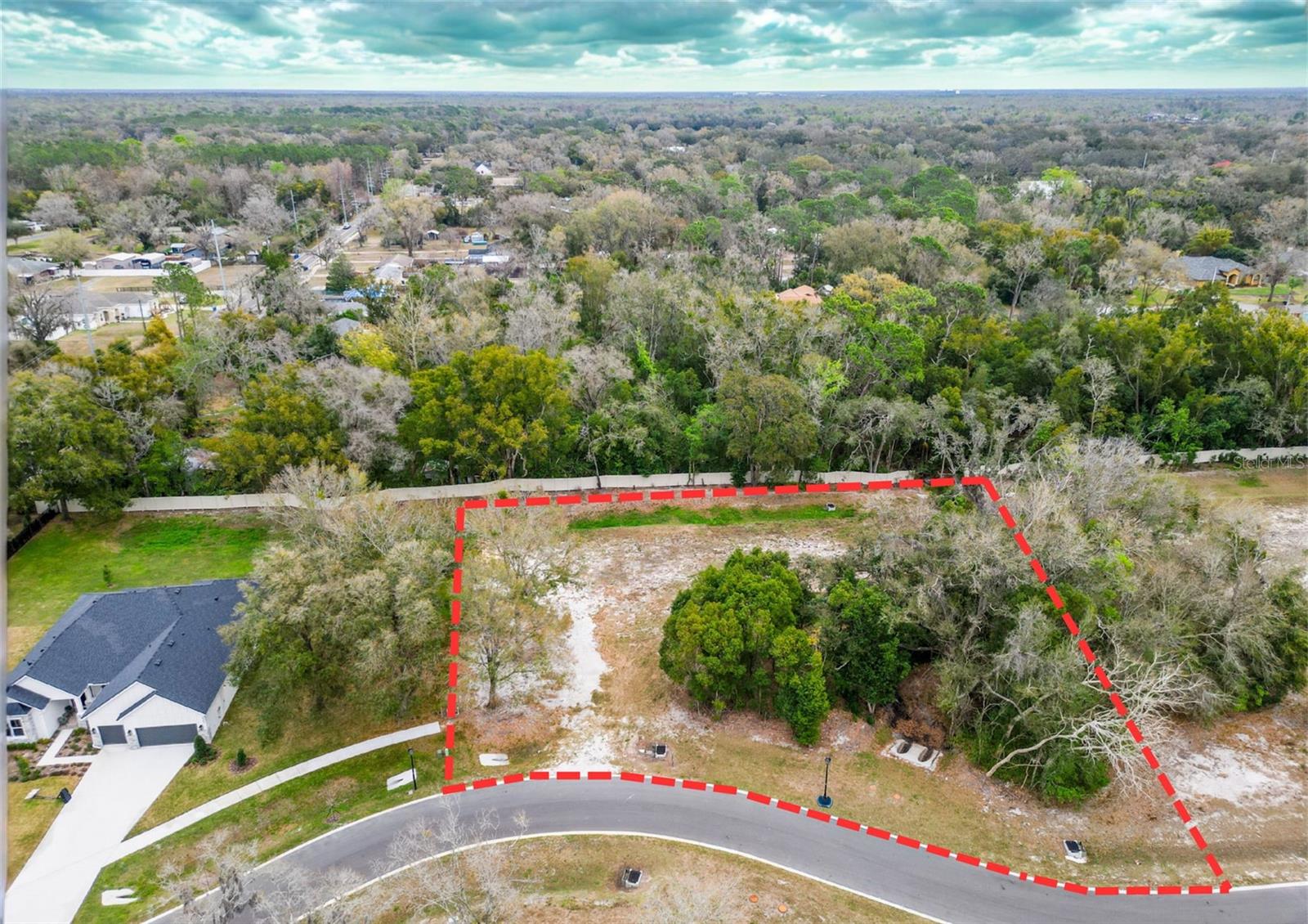 Details for 18469 Purple Creek Lane, LUTZ, FL 33549