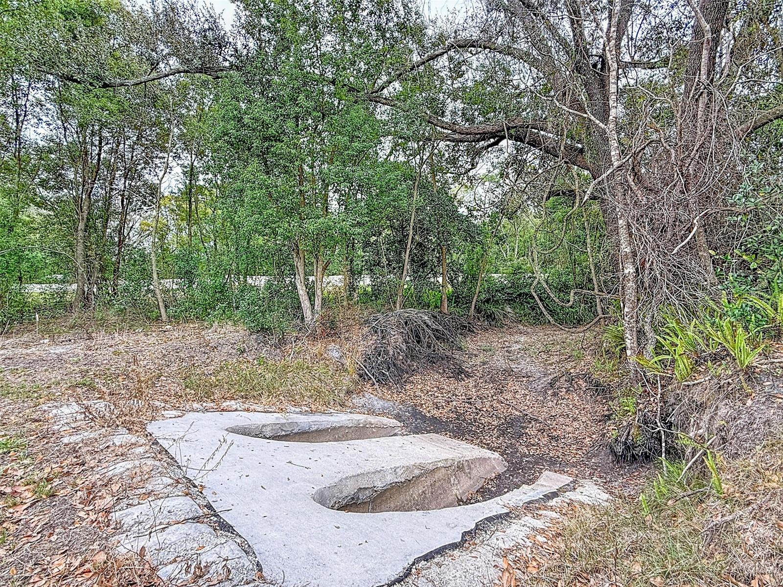 Image 12 of 32 For 18469 Purple Creek Lane