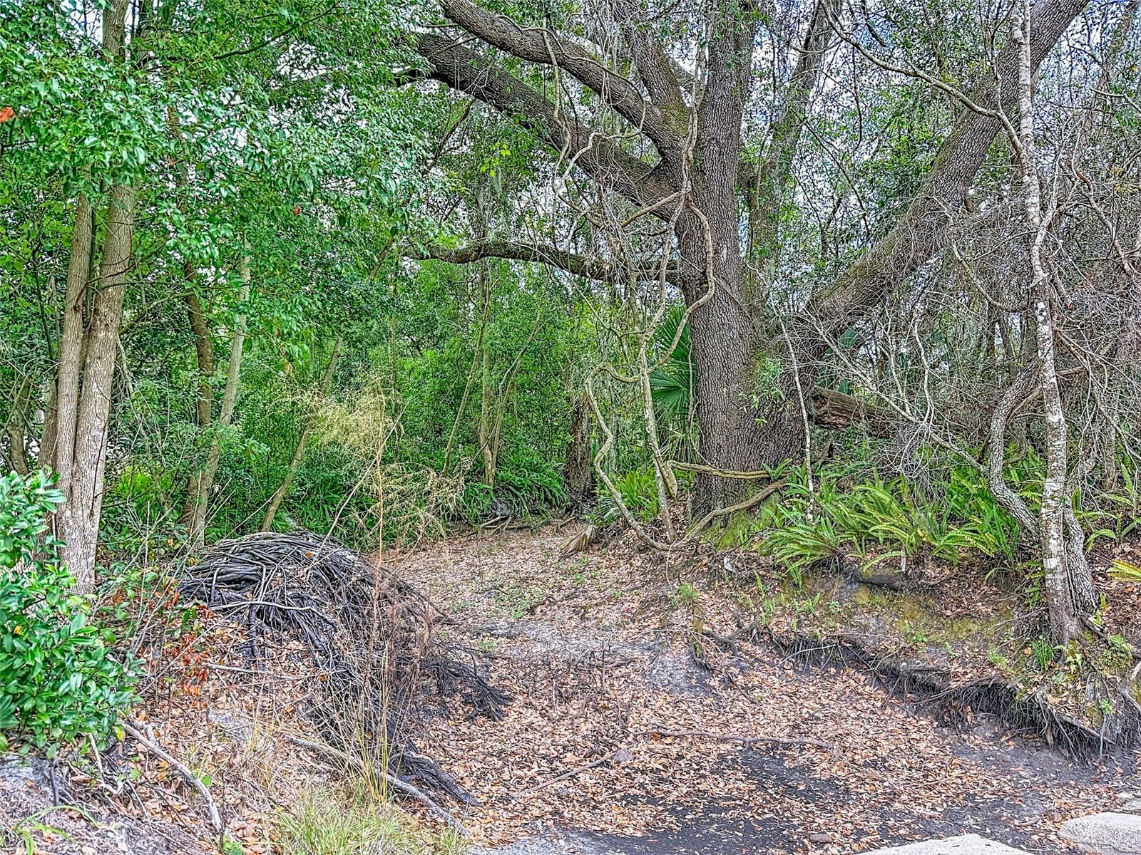 Image 14 of 32 For 18469 Purple Creek Lane