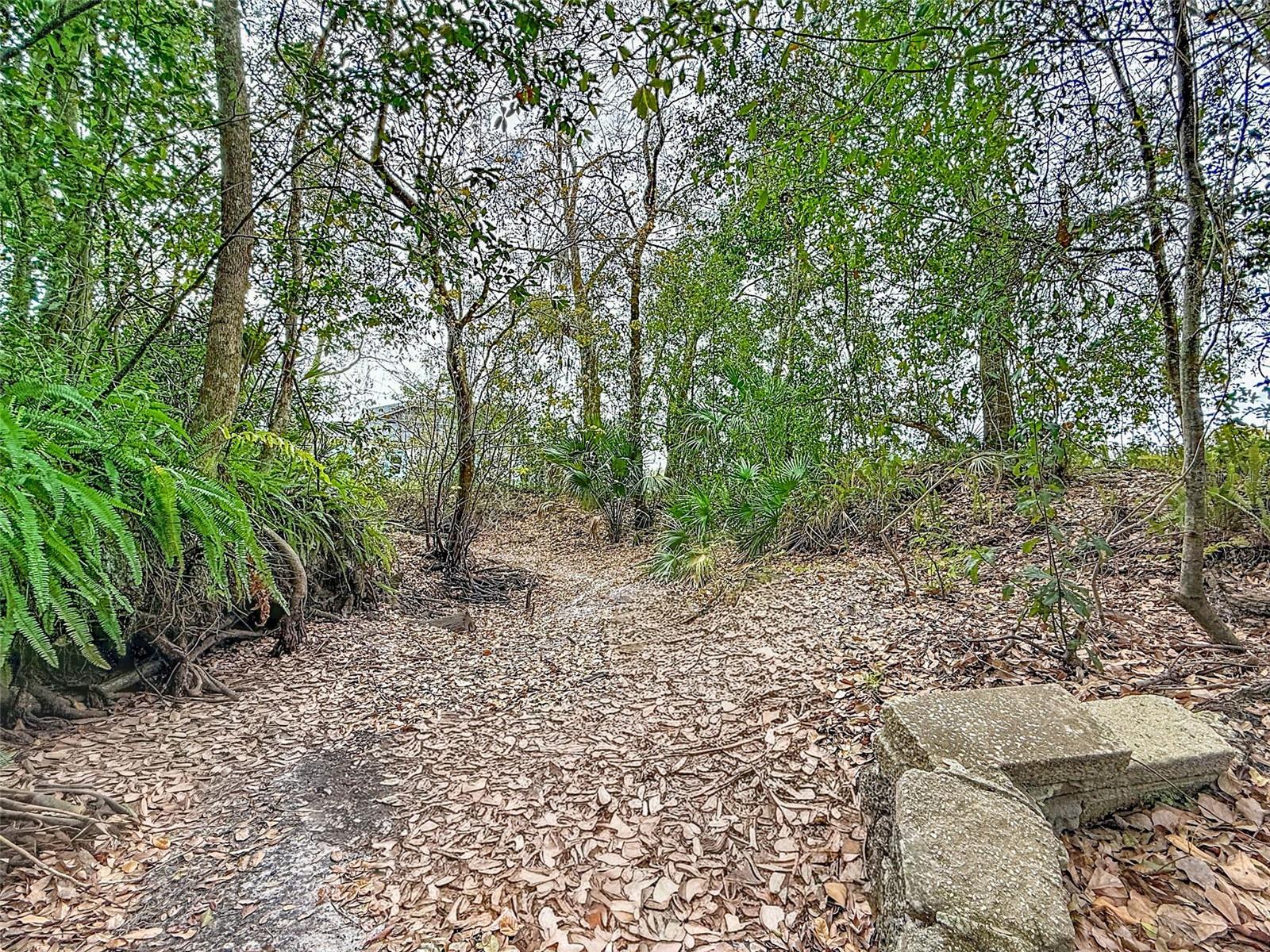 Image 16 of 32 For 18469 Purple Creek Lane