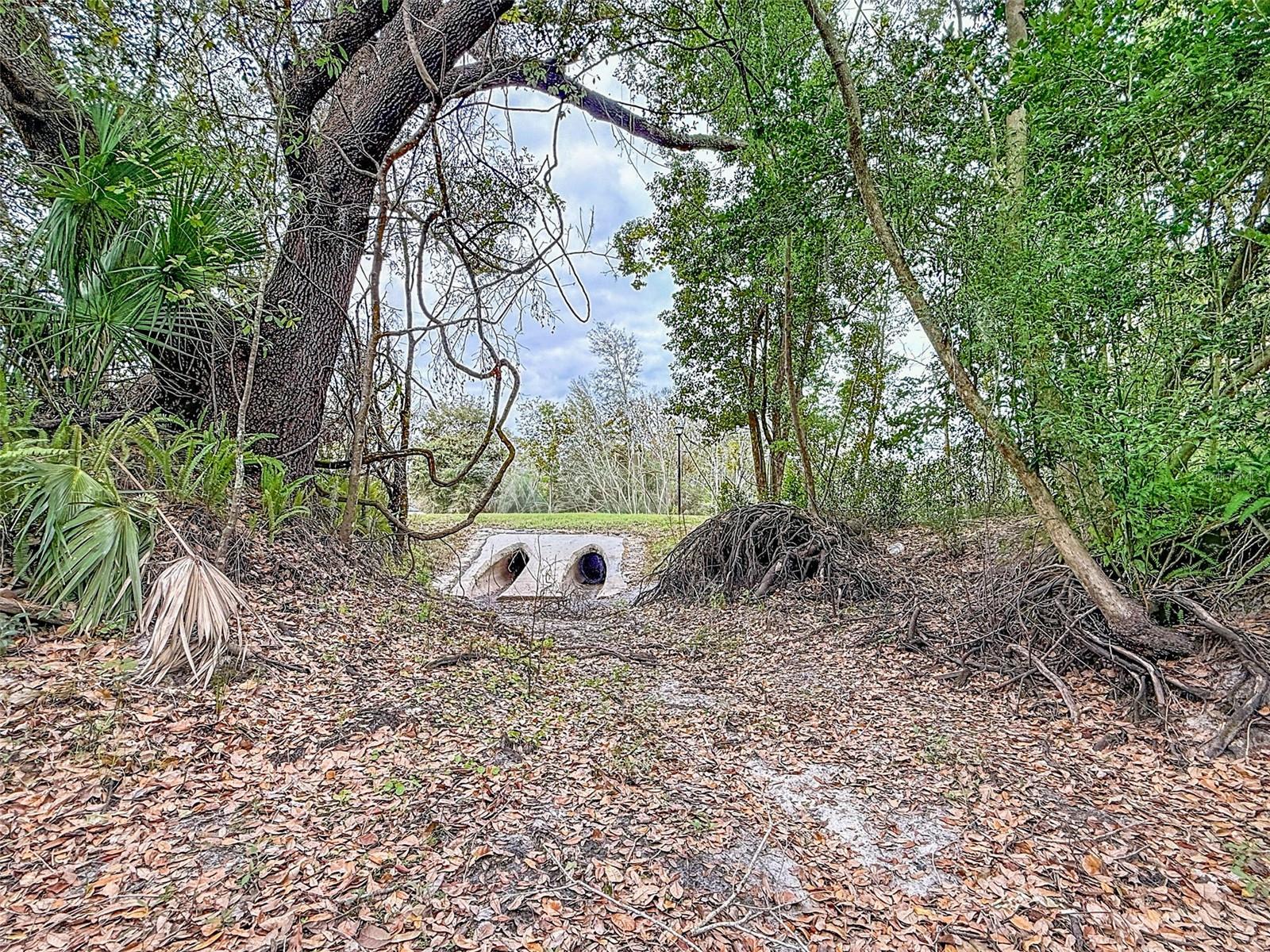 Image 18 of 32 For 18469 Purple Creek Lane