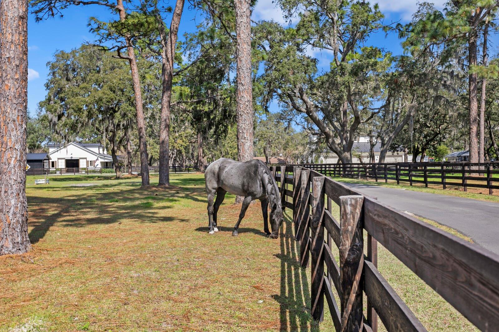 Listing photo id 18 for 10101 Tarpon Springs Road