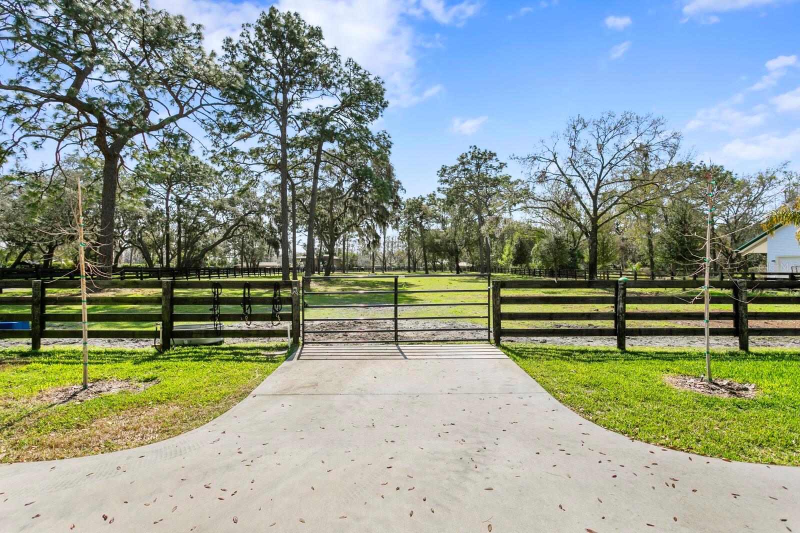 Listing photo id 19 for 10101 Tarpon Springs Road