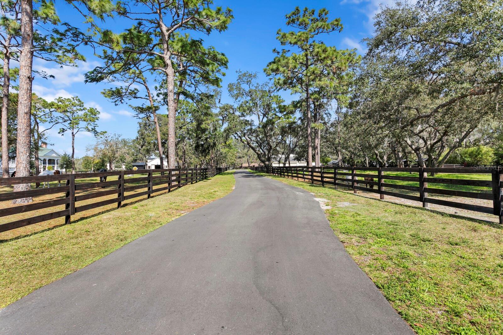 Listing photo id 20 for 10101 Tarpon Springs Road