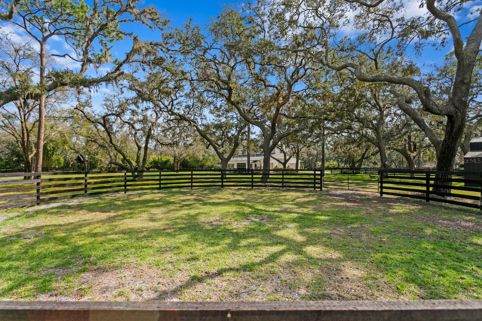 Listing photo id 23 for 10101 Tarpon Springs Road