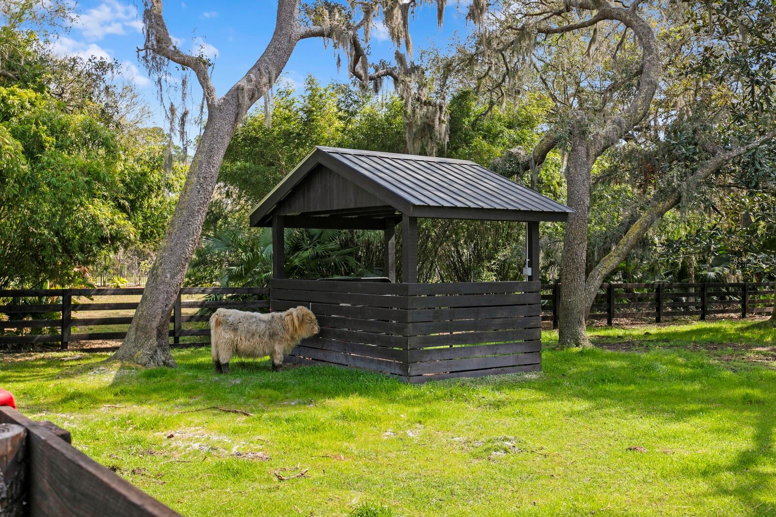 Listing photo id 26 for 10101 Tarpon Springs Road