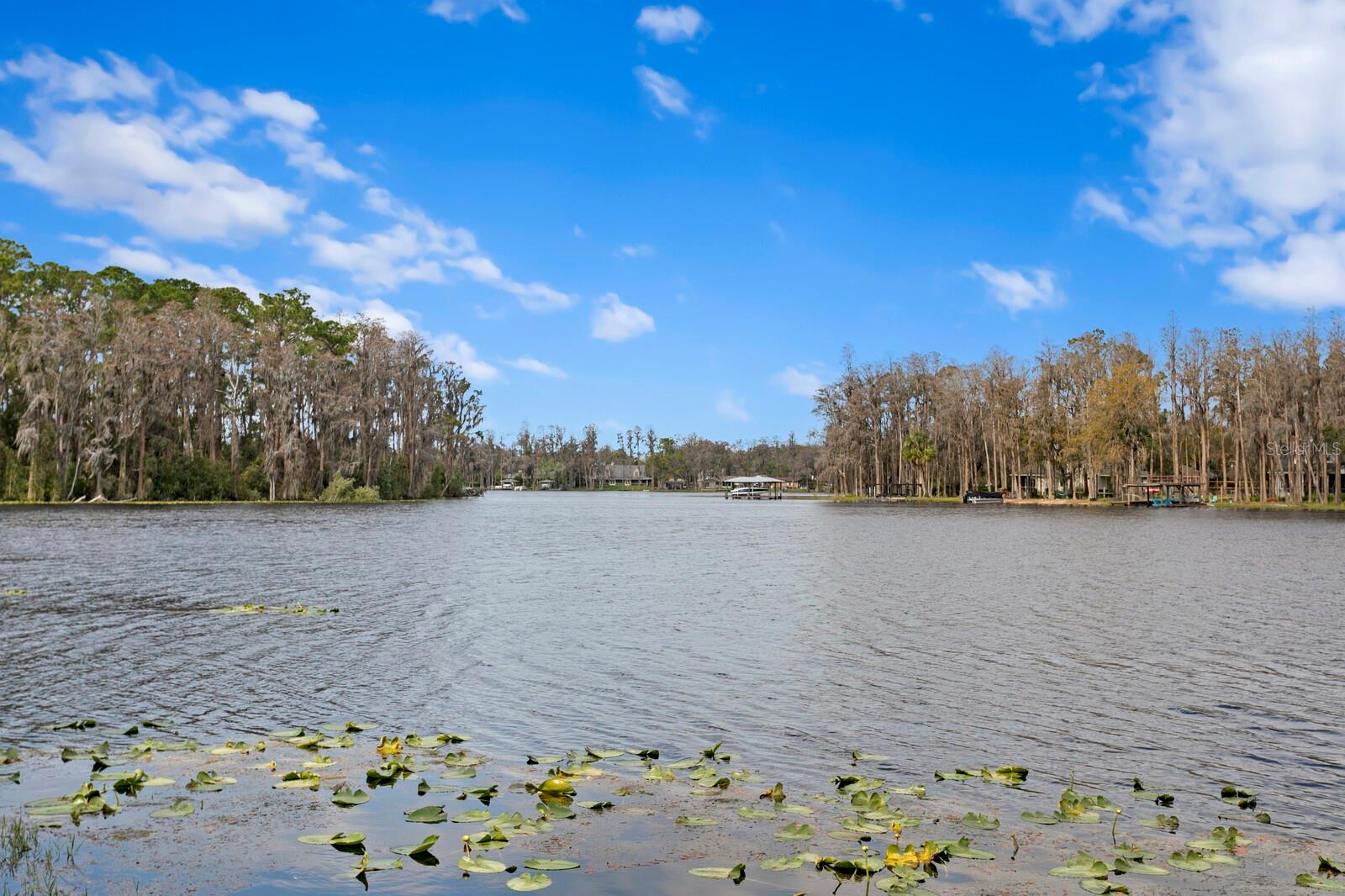 Listing photo id 32 for 10101 Tarpon Springs Road