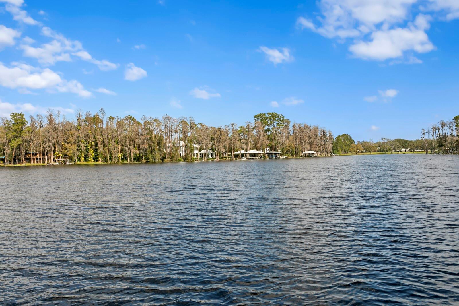 Listing photo id 34 for 10101 Tarpon Springs Road