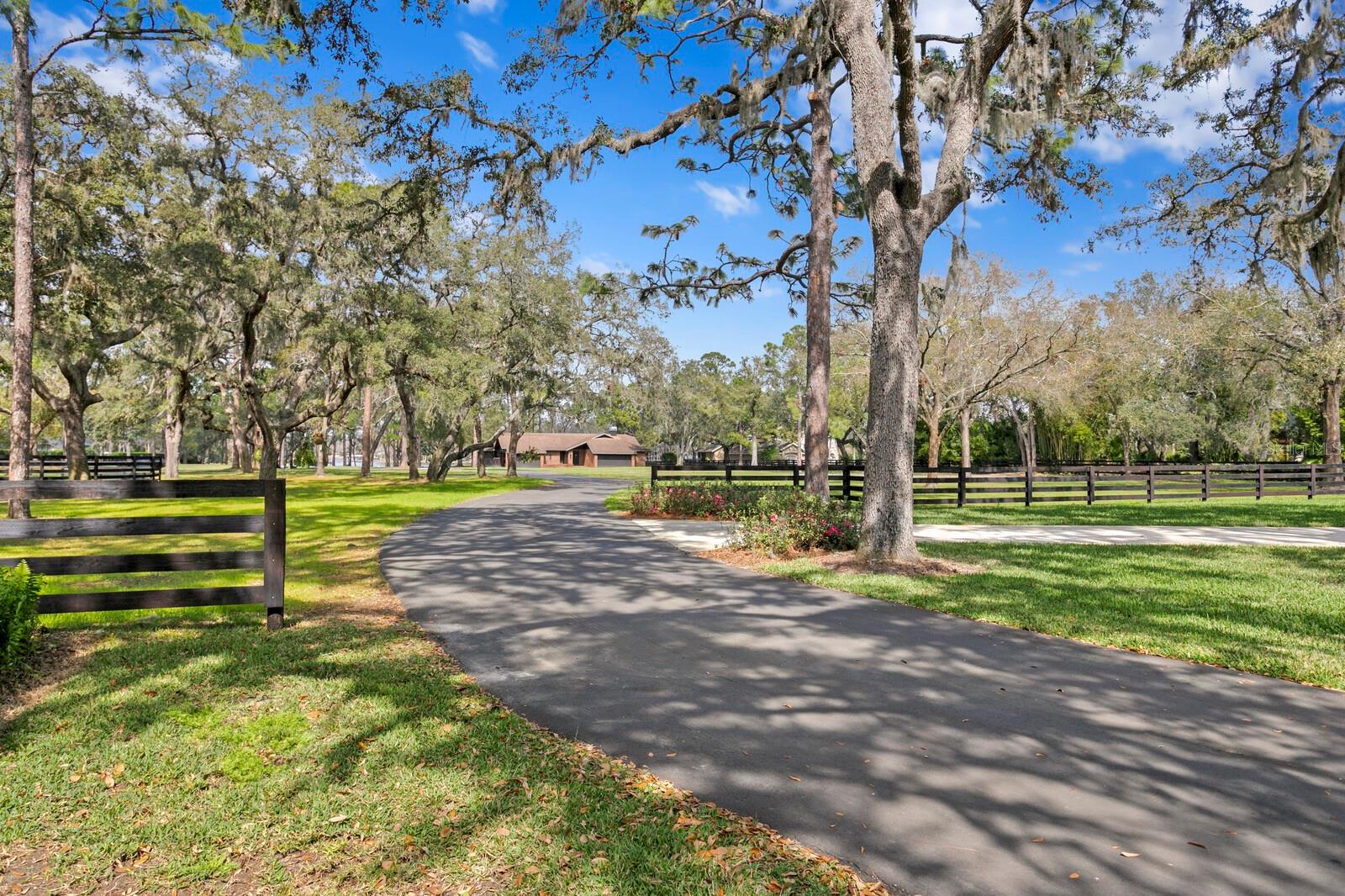 Listing photo id 36 for 10101 Tarpon Springs Road