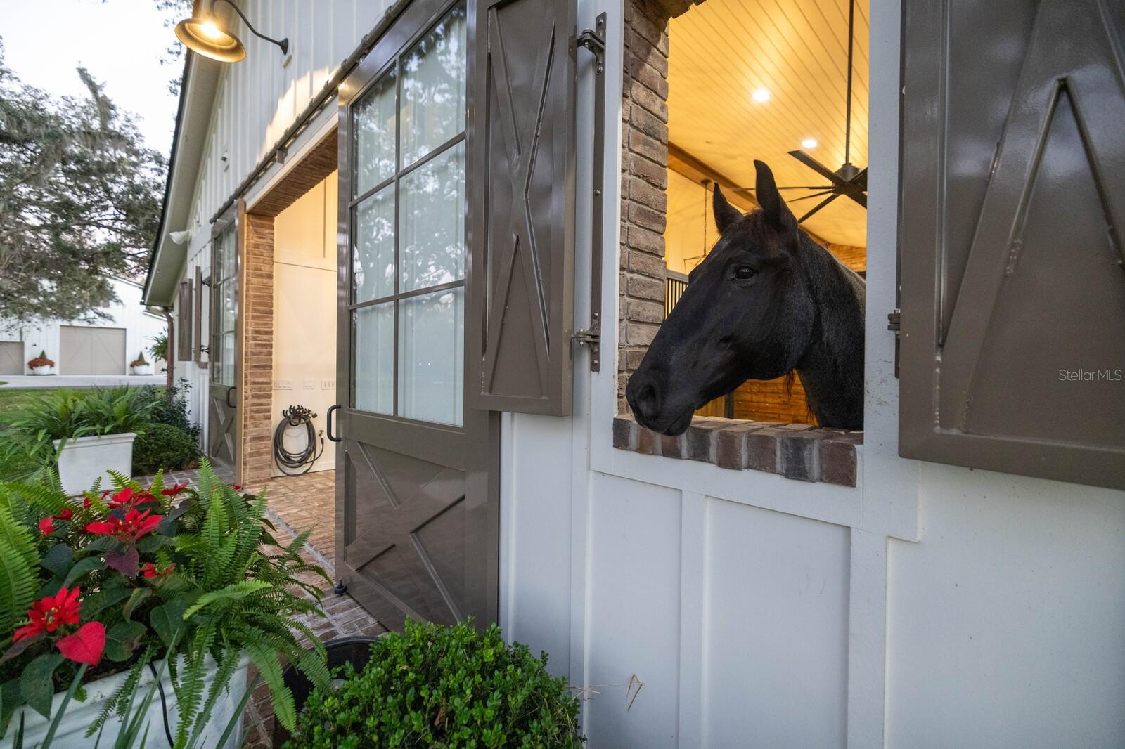 Listing photo id 40 for 10101 Tarpon Springs Road