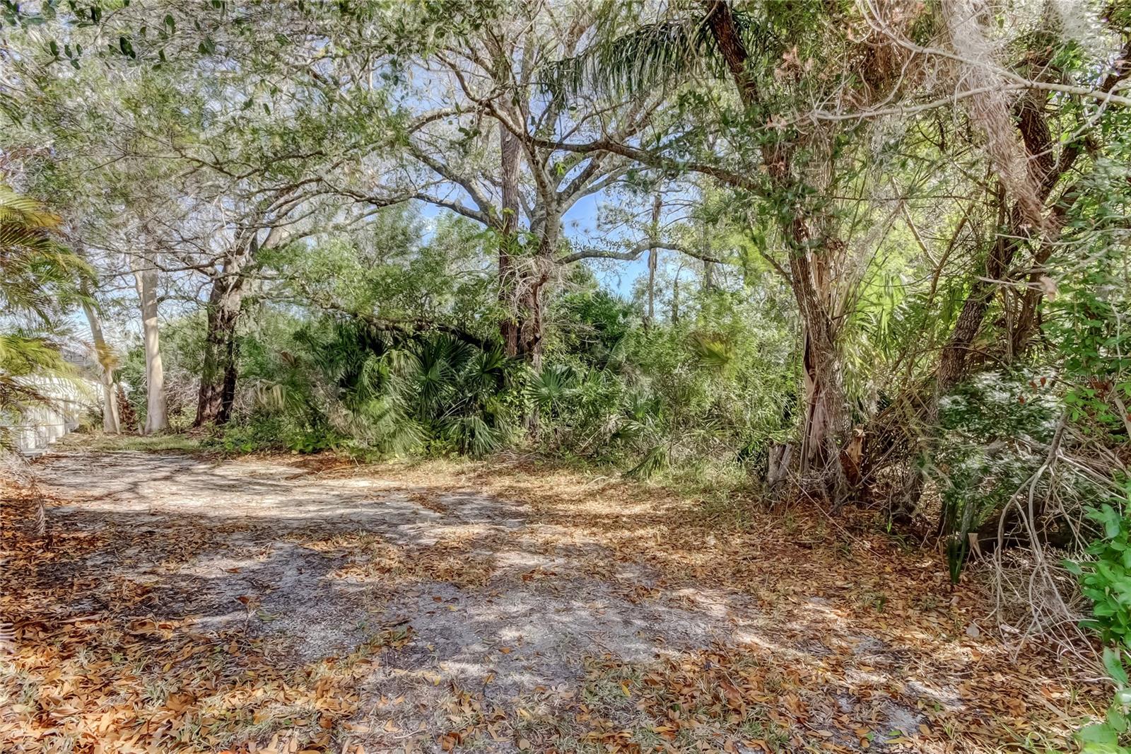 Image 62 of 62 For 11403 Quiet Forest Drive