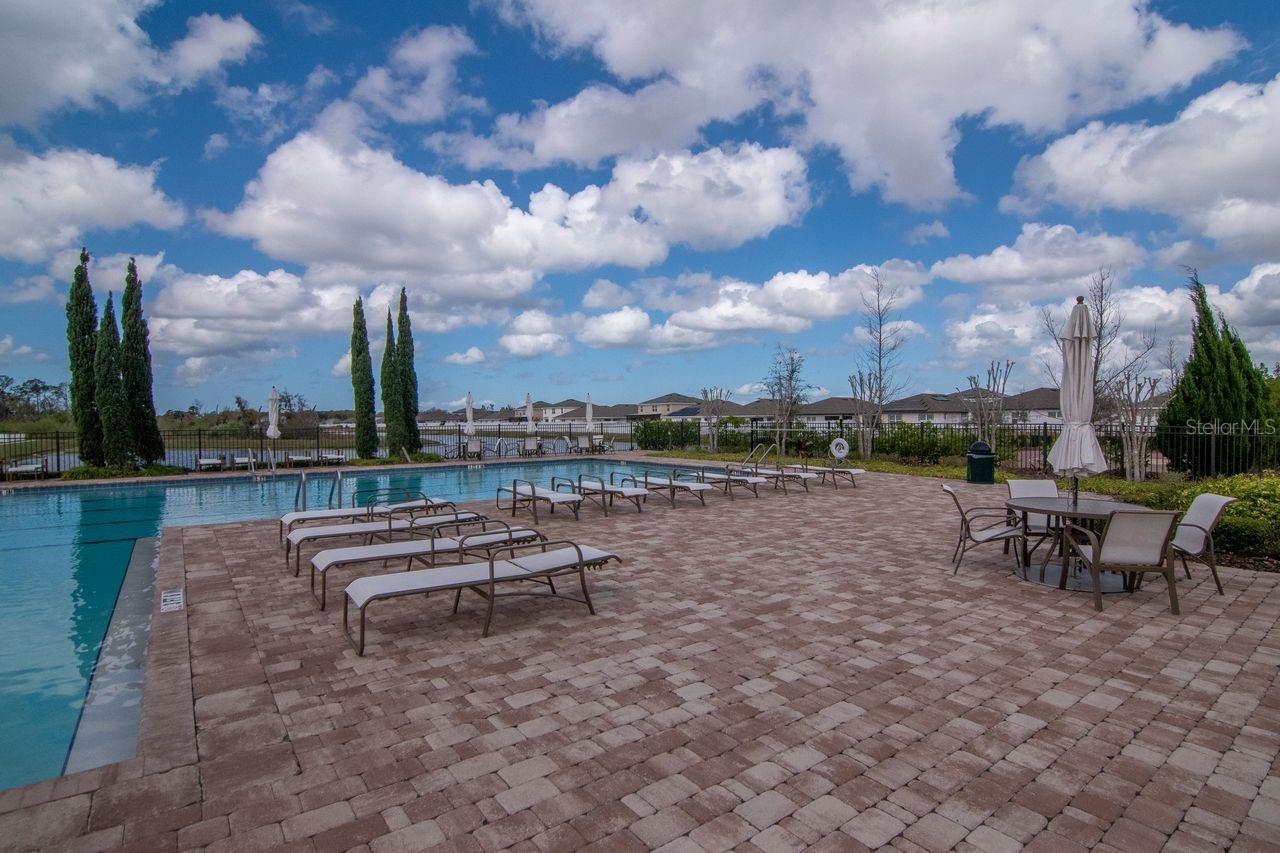 Image 55 of 59 For 1103 Swaying Sawgrass Avenue