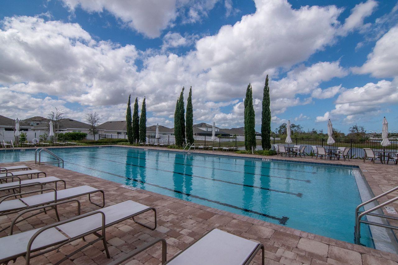 Image 56 of 59 For 1103 Swaying Sawgrass Avenue