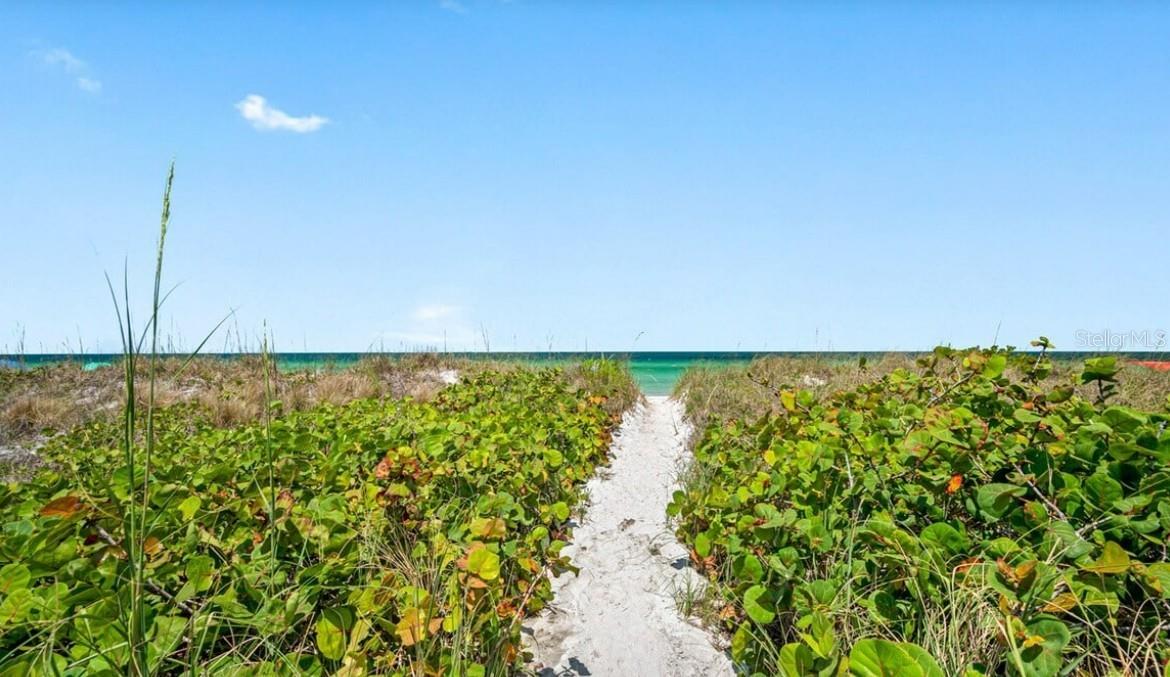 Image 15 of 19 For 2700 Gulf Boulevard 2