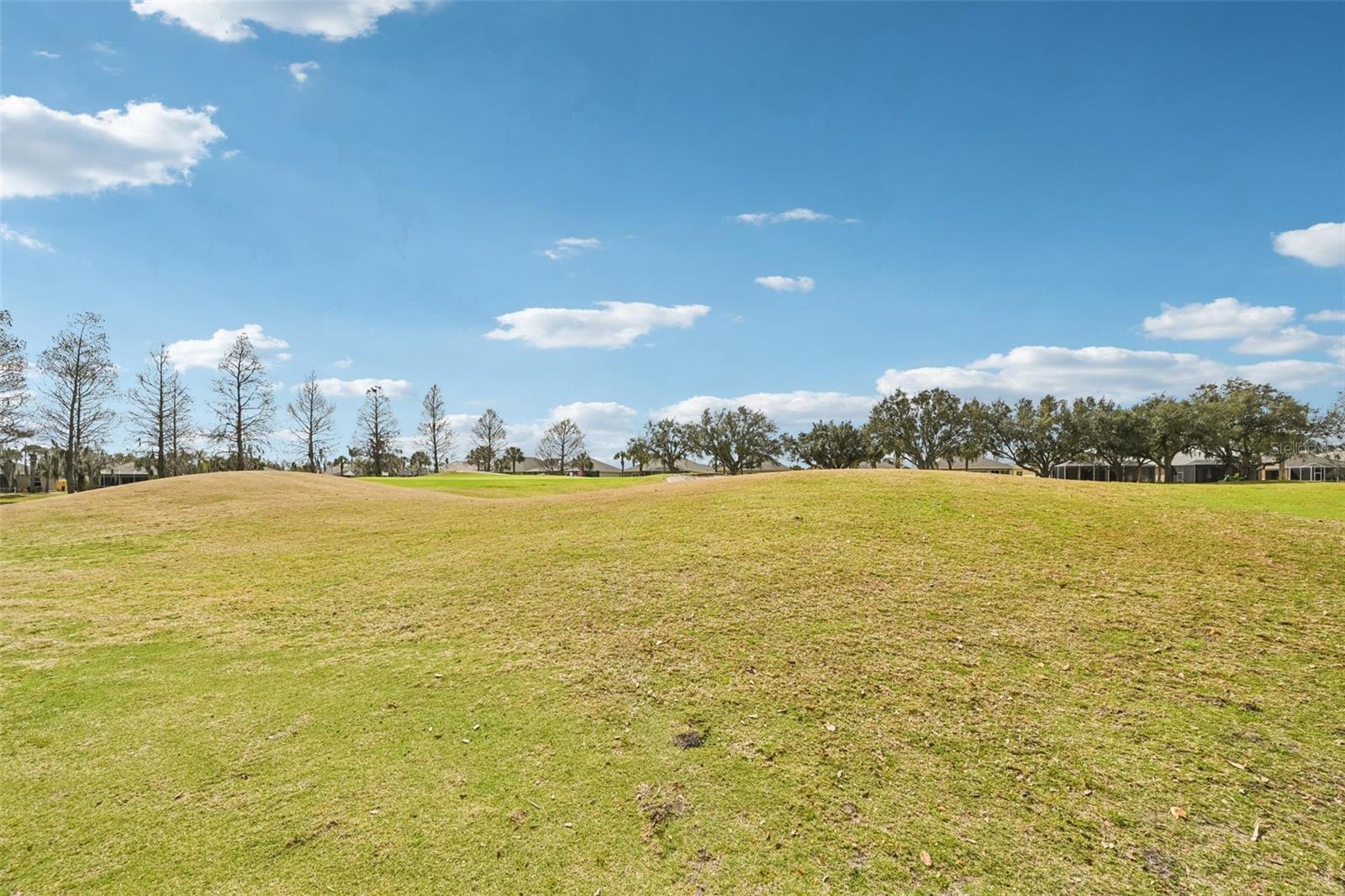 Image 37 of 58 For 819 Regal Manor Way